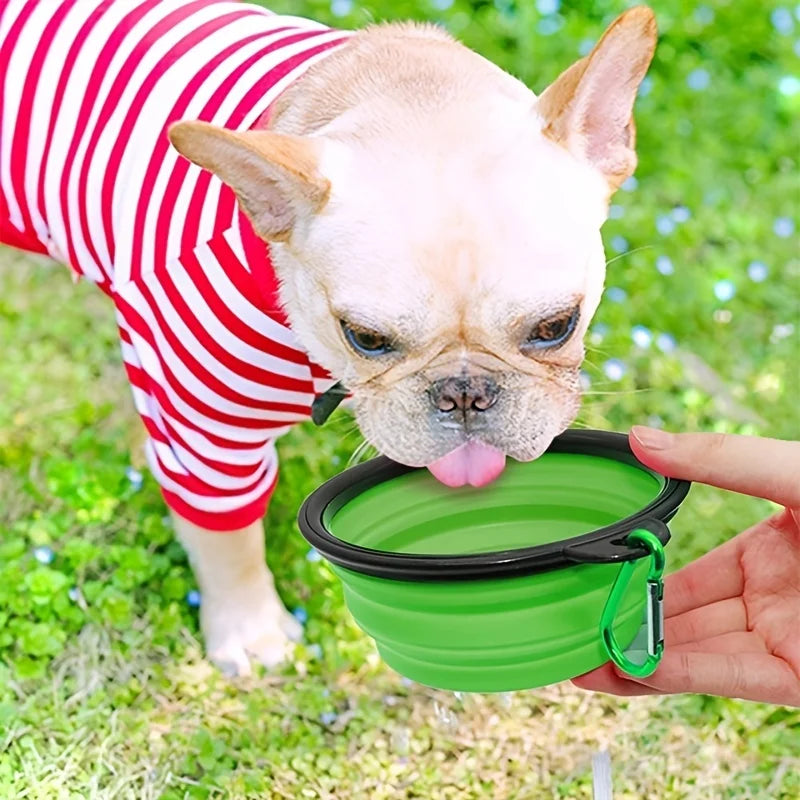 Bol Plegable de Silicona para Mascotas con Mosquetón