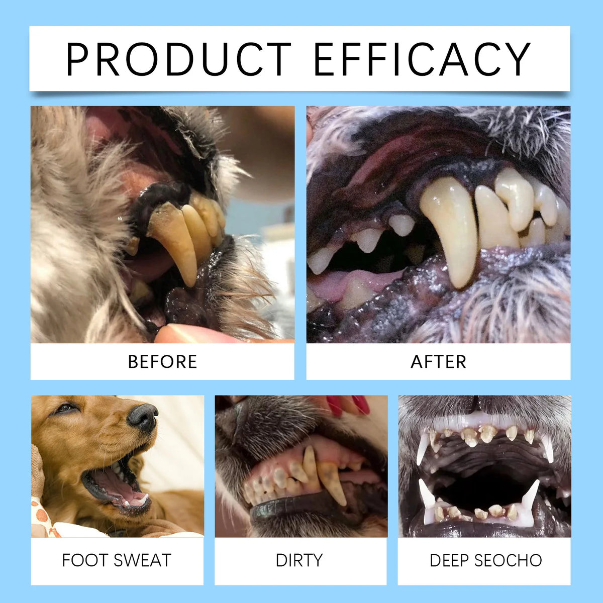 Cepillo Dental en Pluma para Perros y Gatos