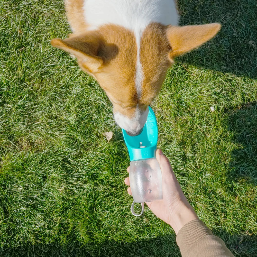 Botella de Agua Portátil para Perros y Gatos 300ml